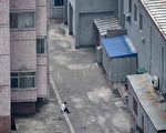 朝鲜互联网独一无二 怪异超乎你的想像