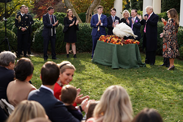 週二（11月21日），美國總統川普在白宮首次赦免火雞，總統赦免火雞是白宮數十年來的一項傳統。（ Chip Somodevilla/Getty Images)