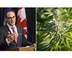 大麻税之争 亚省财长：“完全不接受联邦提案”