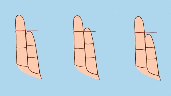 你一定有注意过自己小拇指和无名指的长度差异，但却不一定知道这其中隐藏的秘密。（大纪元制图）