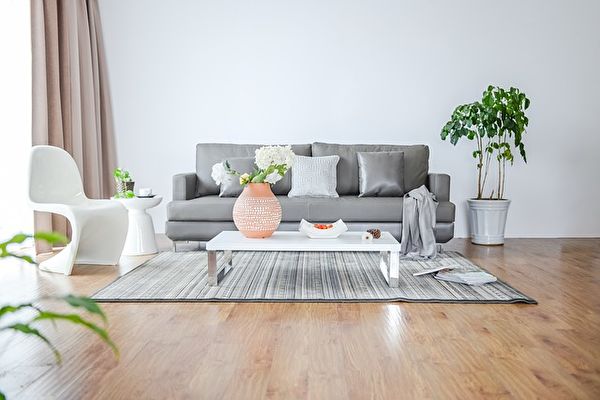 客廳也能擺放植物。(pixabay)