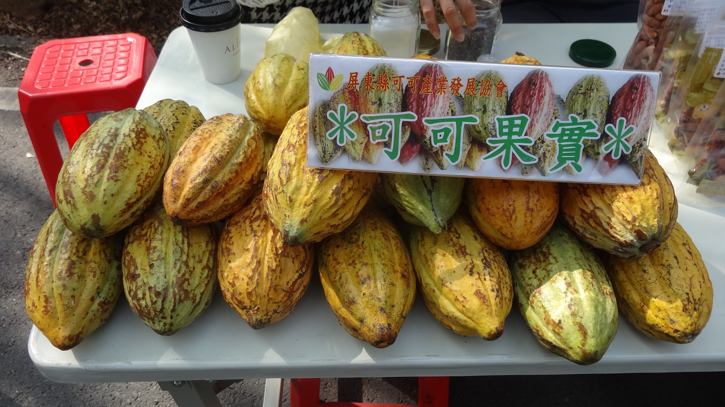 农特产可可果实。（曾晏均／大纪元）