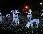 在南國遇見北國聖誕 屏東繽紛燈飾迎耶誕