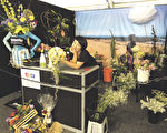 花园展圆满落幕 华裔女获花艺师年度总冠军
