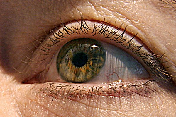 FDA批准基因療法治療遺傳性失明