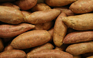 食品成本连跌3月 南瓜红薯价格窜升