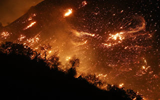 組圖：南加州野火失控延燒 威脅洛杉磯豪華區
