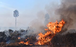 為何2017加州野火季如此猛烈？