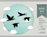 候鸟与大地约定的冒险旅程 来趟鳌鼓湿地