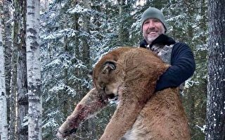 電視主持人獵殺山獅秀照片惹爭議