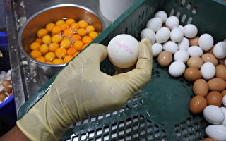 过期蛋混新蛋卖6年 台蛋商遭检调调查