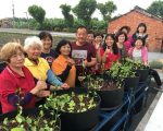都市鱼菜共生 社区环保自足