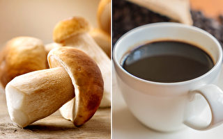 “蘑菇咖啡”热 比咖啡营养 但有些人不能喝