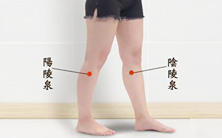 膝關節痛,按摩脾經上的陰陵泉穴和它所對應的陽陵泉穴。(談古論今話中醫提供)