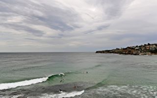 悉尼暴雨致海水污染 政府警告不要下海游泳