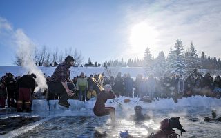 不畏严寒 加拿大人北极熊冬泳如期举行