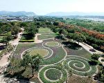 接棒新社花海   后里花毯破125万旅客