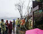消失百年  水社柳重返日月潭畔