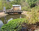 后生添手团进驻流东社区   改造头份后花园