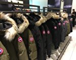 被中国黑心商家山寨  加拿大鹅怒告商标侵权