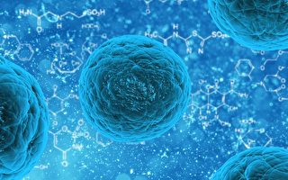 快速「生產」幹細胞新技術有益於疾病治療
