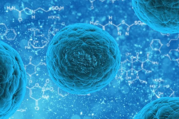 快速「生產」幹細胞新技術有益於疾病治療