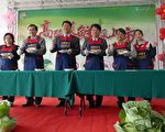 高丽菜价稳定 冬季盛产不再悲情