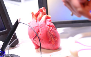 麻州3D打印心脏模型 畅销各地