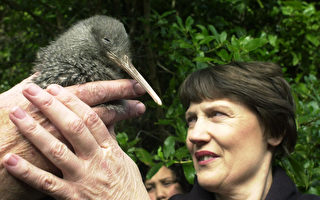 新西兰濒危物种比例全球最高