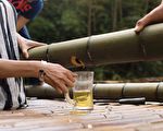 竹子变身空中酿酒桶 获利翻了好几倍