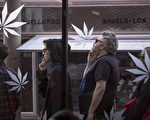 大麻開賣 蜂擁買者嚇到商家