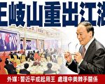 王岐山再出山 專家釋背後訊號