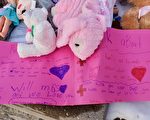 才脫癌患又逢車禍 5歲女孩被兩車夾亡