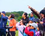平地森林赏鸟趣  花莲县鸟朱鹂现身  民众惊呼连连