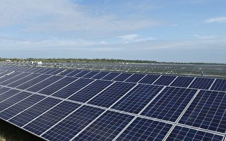 川普對進口太陽能板課重稅 美公司將增產招人
