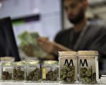 大温更多城市查禁大麻贩售