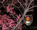 組圖：夜賞全台最美的泰安派出所櫻花