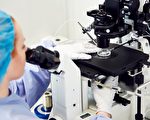 考虑人工受孕？从IVF Australia走出成功第一步
