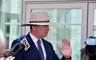 喬易斯宣布將辭去澳洲副總理和國家黨領袖職務