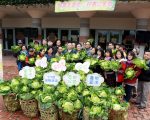 好菜大家吃 好事公家做 四季南山高丽菜特卖