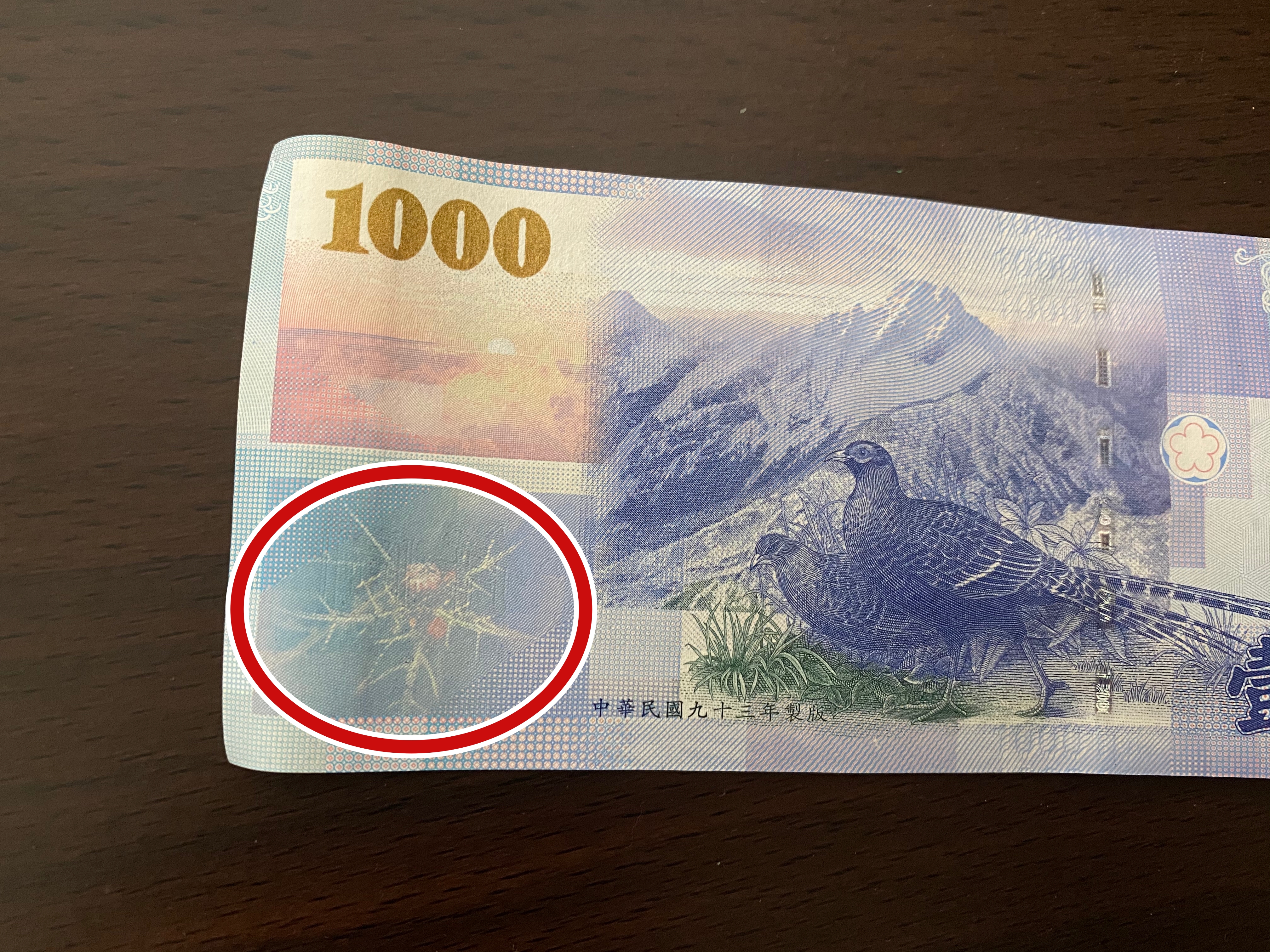 台幣千元鈔上這種植物是台灣特有國寶| 玉山薊| 南國小薊| 雞角刺| 大紀元