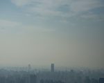 習清洗上海幫：江系大員被「調虎離山」（下）
