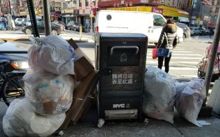 華埠防鼠垃圾桶旁 成老鼠覓食窩點