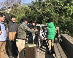 城市绿珍珠 鸟松湿地吸引国外旅客探访