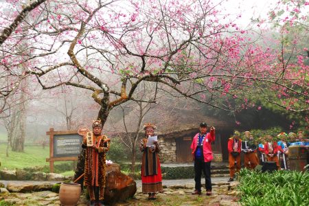每年山樱花开之后，九族园区会在做为计算基准的指标山樱树下进行震春唤樱仪式，将八重樱唤醒。