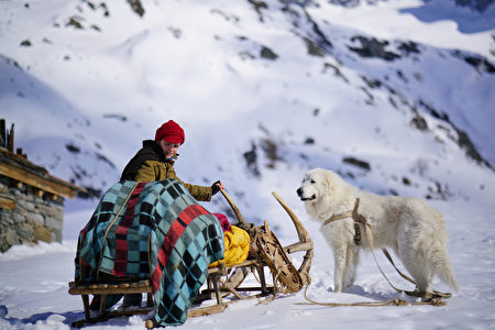 法国 灵犬雪丽3 最后一章 情人节隆重上演 灵犬雪丽 Belle Et Sebastien 莫里耶讷 Haute Maurienne Vanoise 大纪元