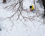 美国东北部周末将降雪 之后气候转暖