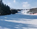 日本滑雪事故再夺一命 一周内两名澳人身亡