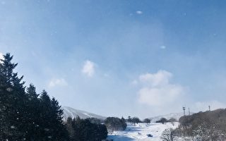 日本滑雪事故再奪一命 一週內兩名澳人身亡