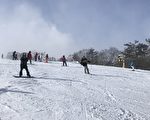 組圖：日本東北遊之四  安比高原滑雪場
